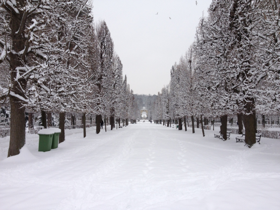 Allee in Schönbrunn als winterliche Landschaft